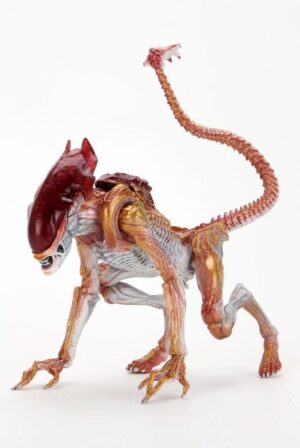 Aliens Action Figure Panther Alien (Kenner Tribute) 23 cm Action figures Alien
